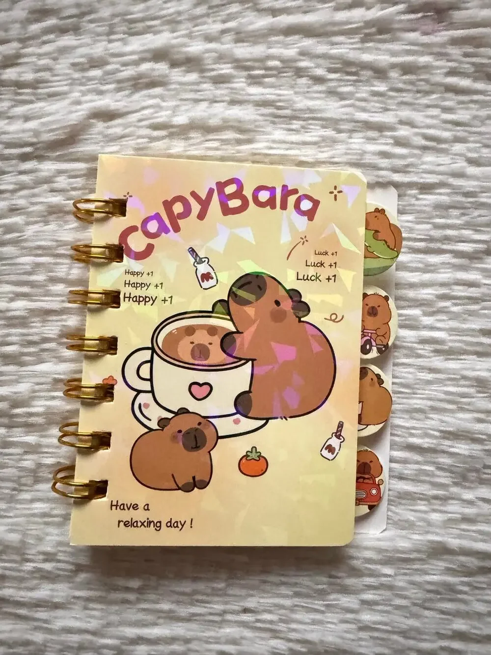 Capybara A6 spiral  mini notebook cute capybara illustrations 4 cute dividers